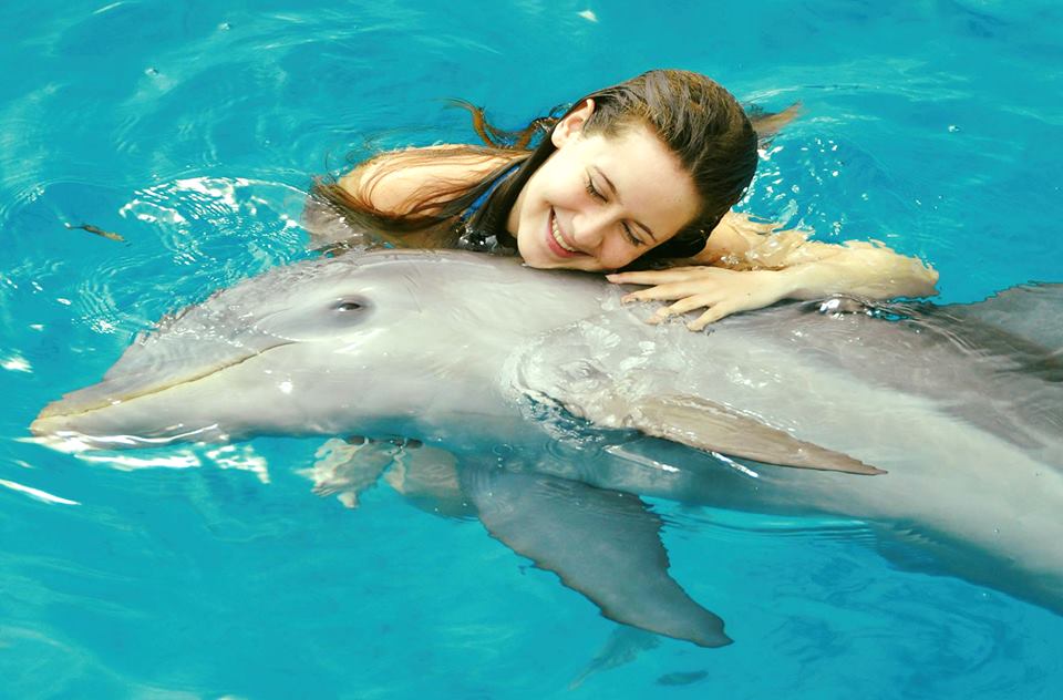 Dolphin Swim Punta Cana