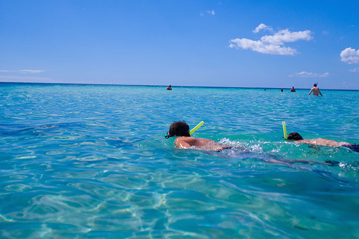 snorkeling catalina island la romana dominican republic