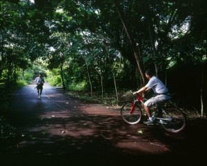 Ixtapa bike ride through nature