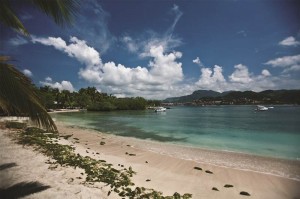 Beach in Ixtapa - Nature