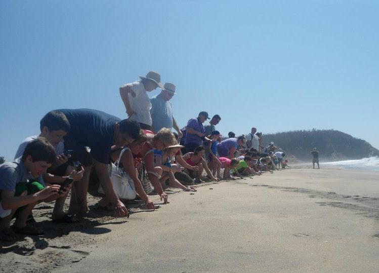 People come and help sea turtles in Oaxaca