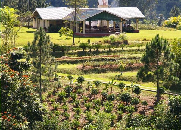 Croydon in the Mountains Tour in Montego Bay Croydon in the Mountains Tour in Montego Bay