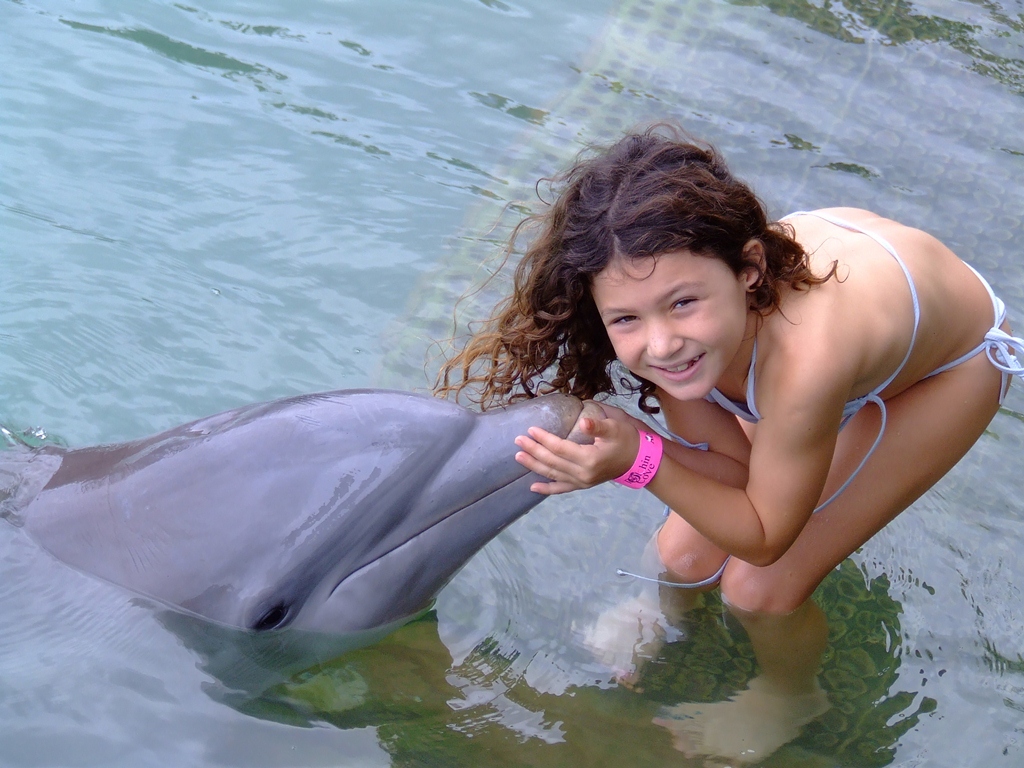 Dolphin Encounter - family vacations