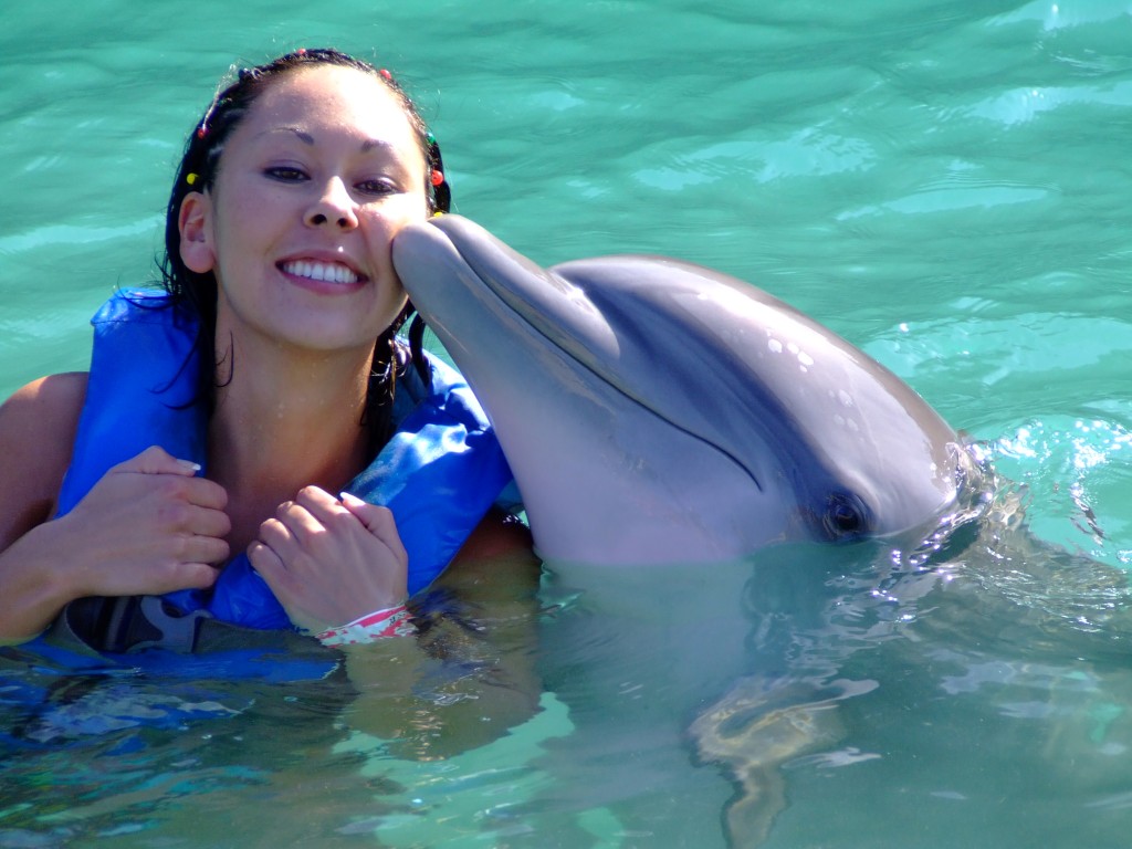 Family vacations at Dolphin Cove