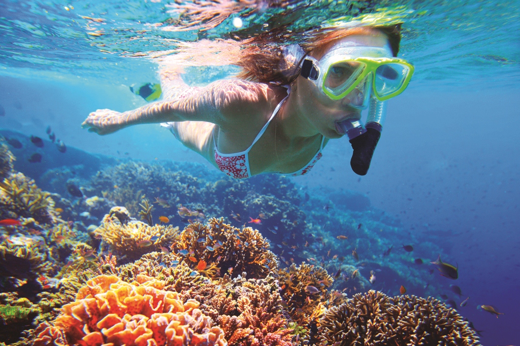 Snorkeling Excursions in Cancun