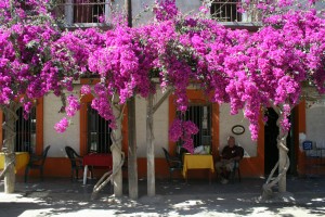 Los Cabos small town