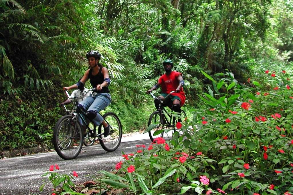 Blue Mountain biking adventure