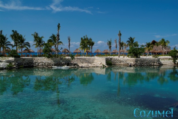 Tropical treasures at Chankanaab in Cozumel