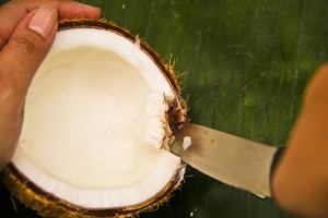 Have some coconut meat!