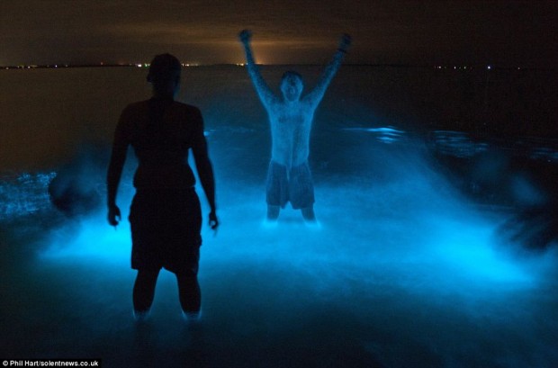 Bioluminescense in the beach - activities near Huatulco