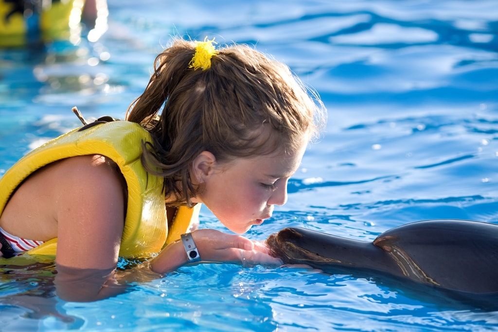 Girl interacting with dolphin