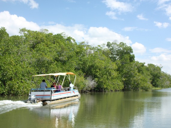 Rediscover yourself in the Caribbean! - AmstarDMC