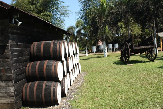 Appleton rum barrels