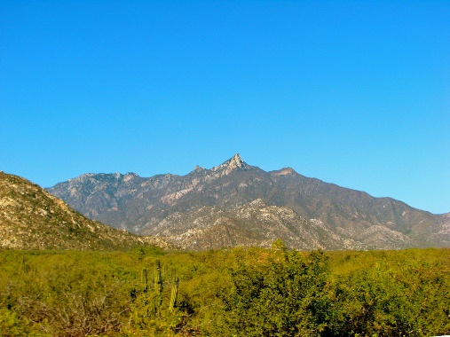 Los Cabos desert