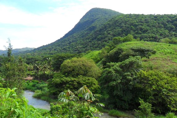 Coffee growing region, Oaxaca