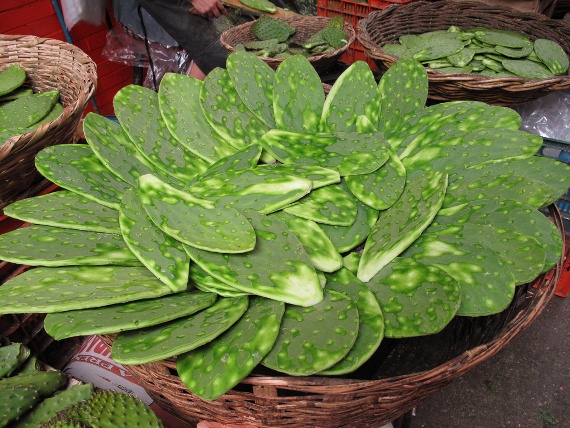 Nopales, Mexican market