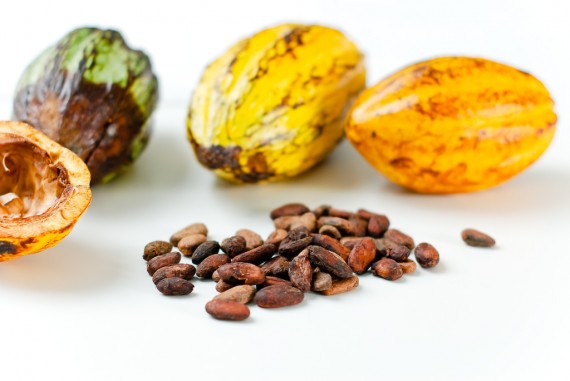 Cacao fruit and beans