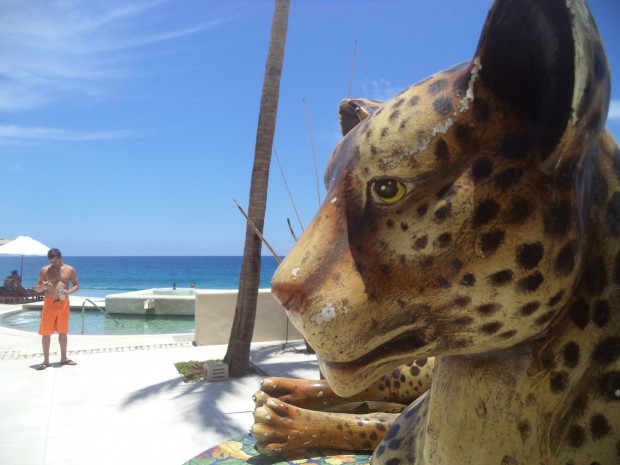 A ceramic tiger at the Secrets Marquis Los Cabos pool overlooking the Sea of Cortez