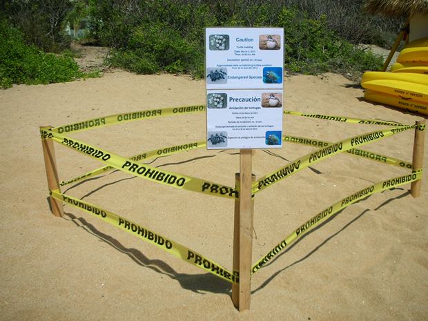 protected-area-turtles A sign about sea turtles in Huatulco altering visitors to be careful