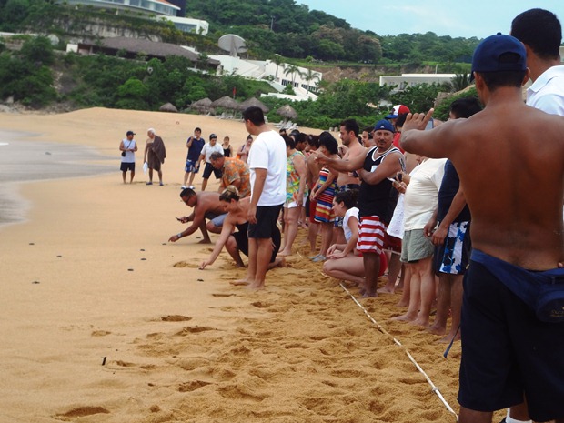 A group of guests at Secrets Huatulco stand in a straight line at the beach of Conejos Bay to participate in a sea turtle release
