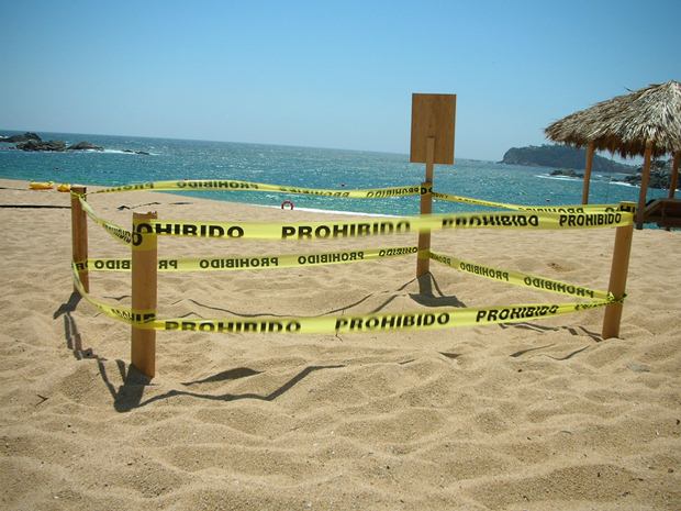 A protected sea turtle nesting site at Conejos Bay in Huatulco