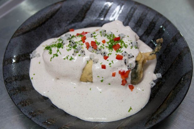 A chile en nogada bathed in a walnut cream sauce just waiting to be eaten