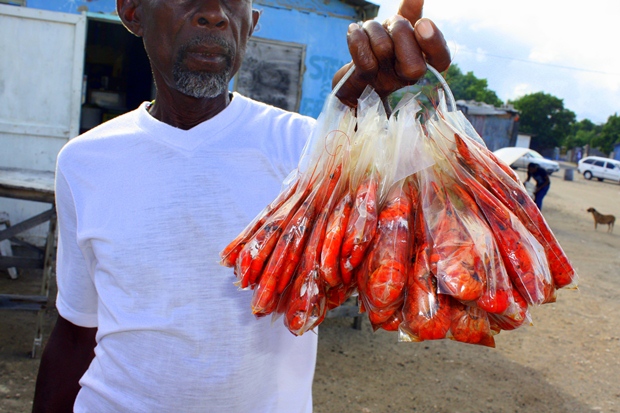 A vendor selling pepper shrimp in Jamaica