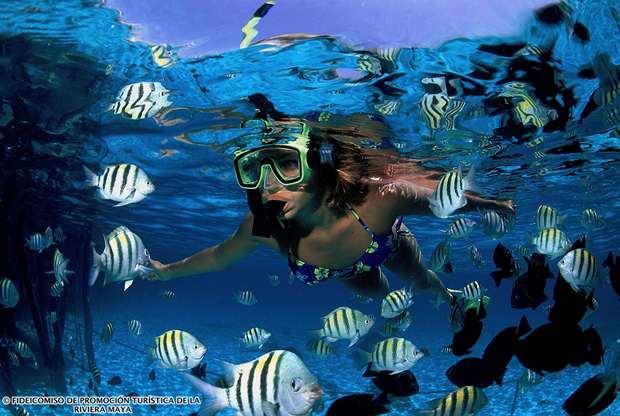 A woman snorkels in the Riviera Maya among tropical fish