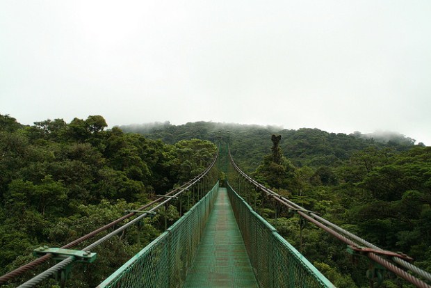 A canopy bridge crosses through the tropical rainforest in Costa Rica.