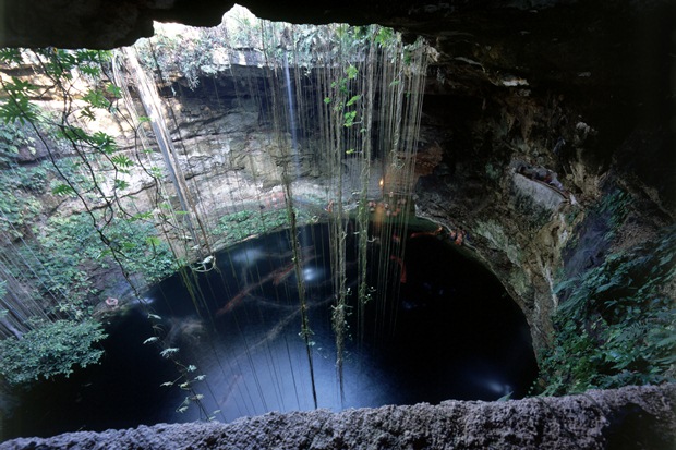 The sacred underground cenote Ik Kil located just outside of Chichen Itza as seen from above it's ground opening.