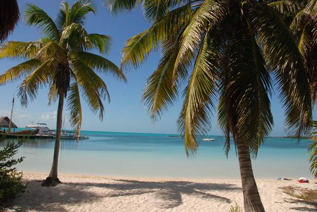 Sitting under the shade of a palm tree and looking out at the Caribbean Sea on the Contoy Island tour