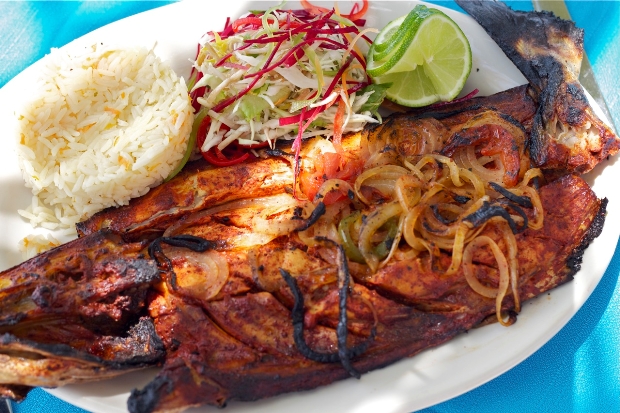 A plate of Tikin Chic, a traditional Maya-style fish plate served for guests of the Contoy Island tour