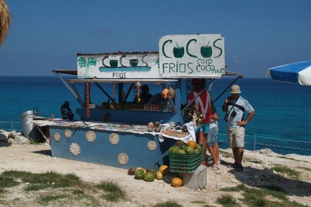 Stand selling fresh coconut water