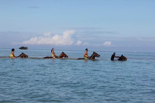 Horseback Riding Tour