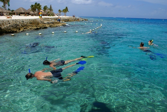 Tourists snorkel on a Cozumel tour in the Caribbean Sea just off the coast of the island of Cozumel