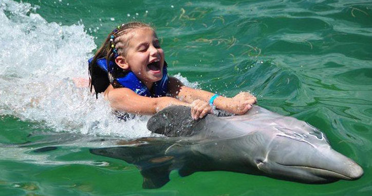 Littl girl swimming with dolphins in Punta Cana