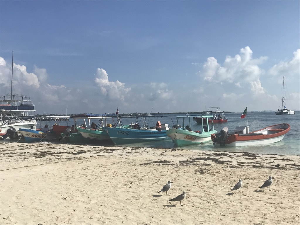 Fishing boats