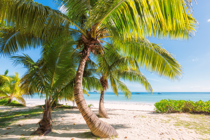 Beautiful beaches are one reason to go to Jamaica