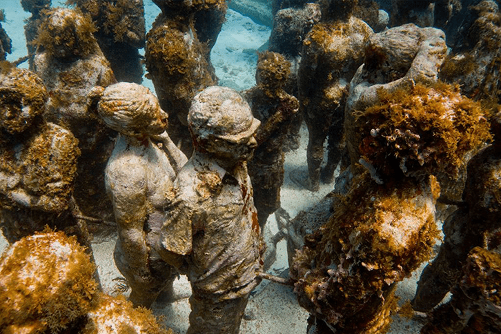 Snorkeling at MUSA