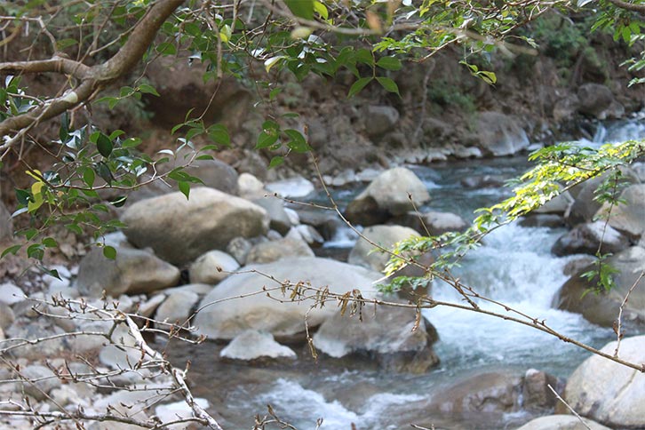 rincon vieja national park creek nature