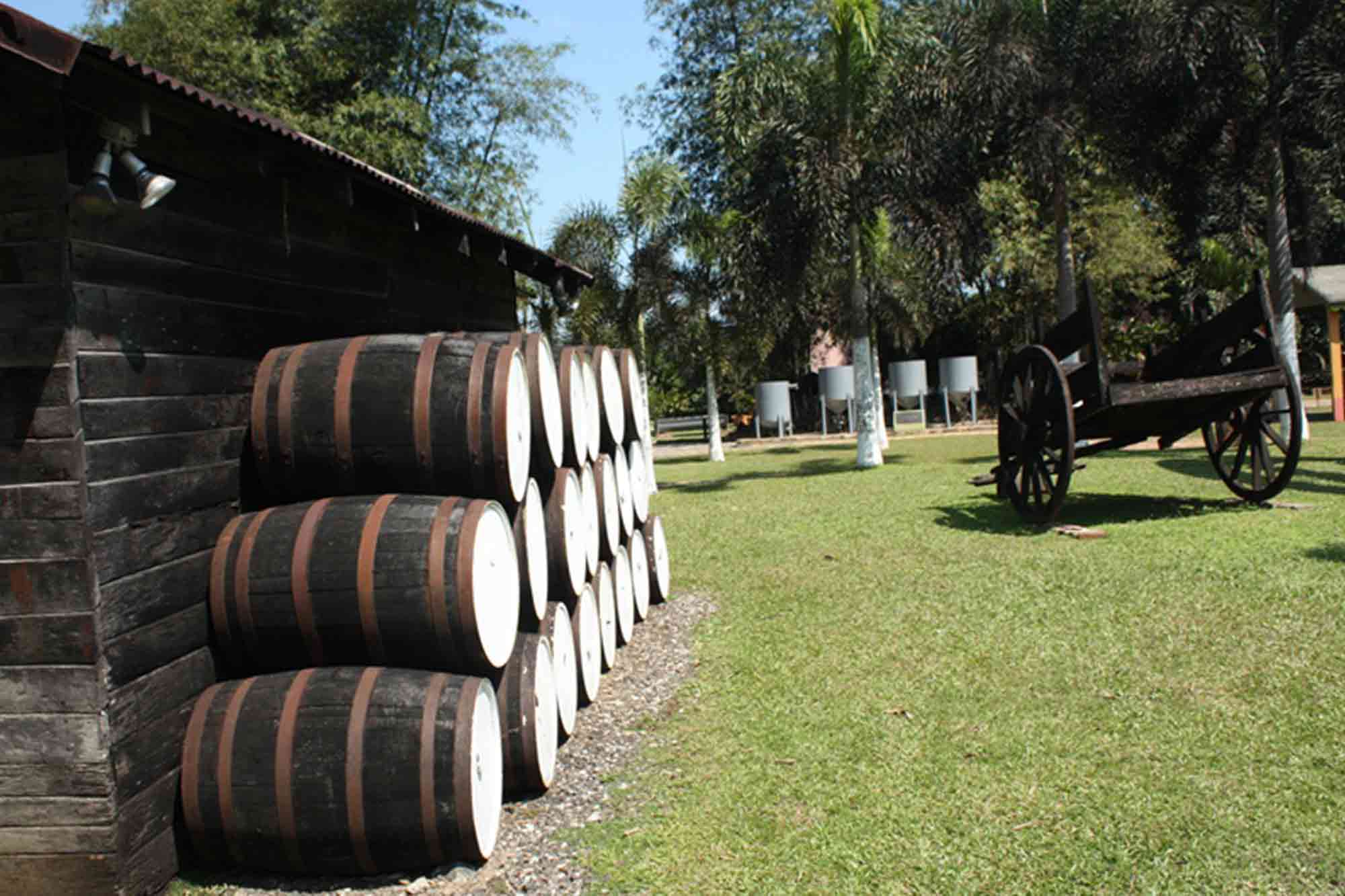 Appleton Rum Factory Jamaica Estate Barrels