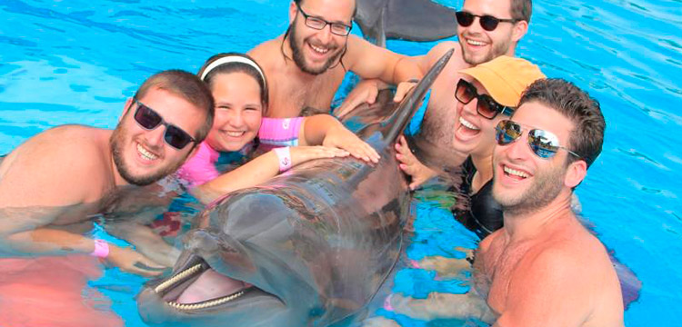 puerto vallarta family activities dolphin swim