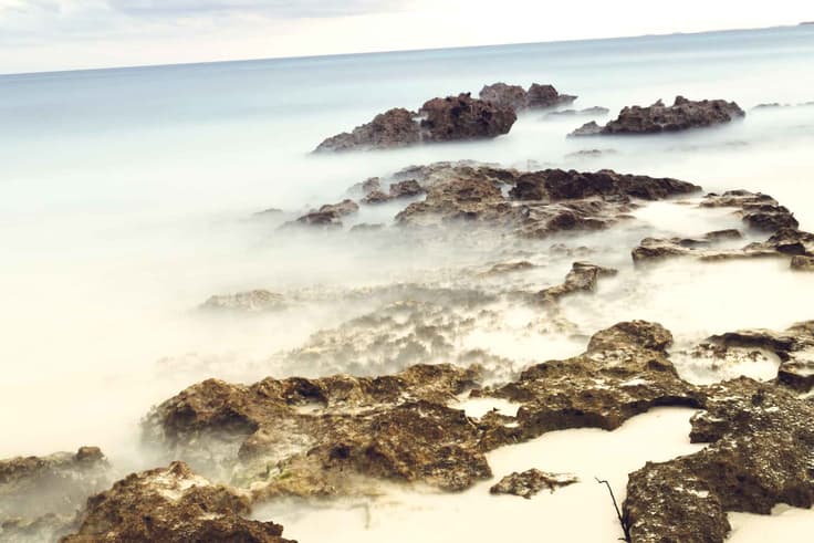 seaweed-on-mexico-beaches-tulum