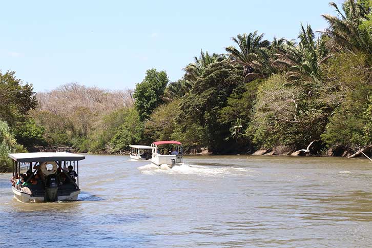 Nature tour un Costa Rica by boat