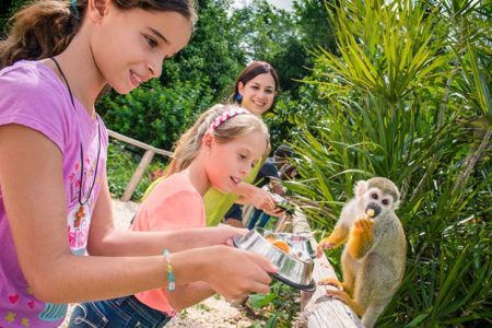 Take a family trip to Monkey Land in Punta Cana