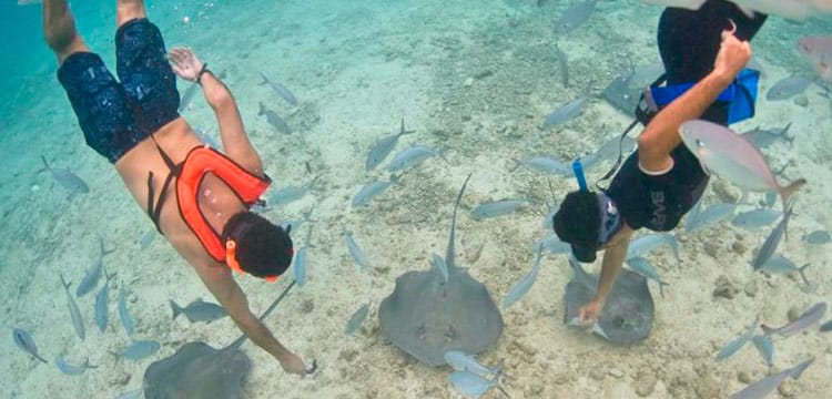 Cozumel is famous for its snorkeling spots