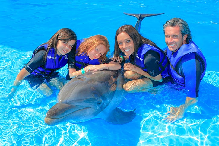 Swim with Dolphins in the Stunning Waters of San José del Cabo