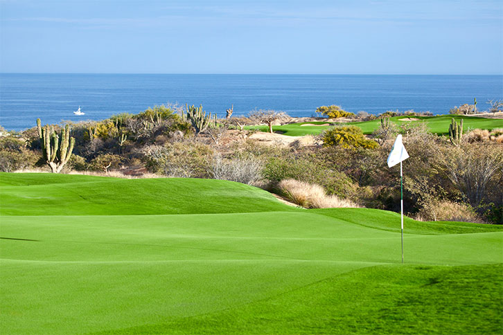 The Premier Golf Courses in San José del Cabo