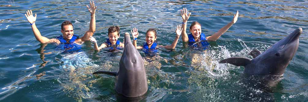 Family swimming with dolphins in Riviera Maya