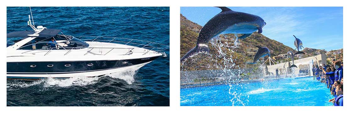 Cabo Dolphin SS & Yacht Signature Experience